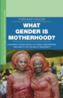 What Gender is Motherhood? : Changing Yoruba Ideals of Power, Procreation, and Identity in the Age of Modernity - eBook