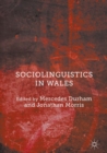 Sociolinguistics in Wales - eBook