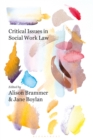 Critical Issues in Social Work Law - eBook