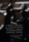 A Brief History of International Criminal Law and International Criminal Court - eBook