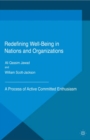 Redefining Well-Being in Nations and Organizations : A Process of Improvement - eBook