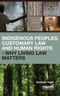 Indigenous Peoples, Customary Law and Human Rights - Why Living Law Matters - Book