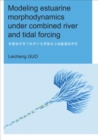 Modeling Estuarine Morphodynamics under Combined River and Tidal Forcing : UNESCO-IHE PhD Thesis - Book