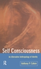 Self Consciousness : An Alternative Anthropology of Identity - Book