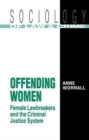 Offending Women : Female Lawbreakers and the Criminal Justice System - Book