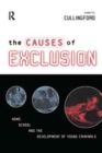 The Causes of Exclusion : Home, School and the Development of Young Criminals - Book