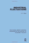 Industrial Fluctuations - Book
