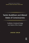 Tantric Buddhism and Altered States of Consciousness : Durkheim, Emotional Energy and Visions of the Consort - Book