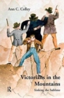 Victorians in the Mountains : Sinking the Sublime - Book