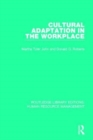 Cultural Adaptation in the Workplace - Book
