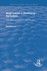 Wage Labour in Developing Agriculture : Risk, Effort and Economic Development - Book