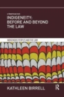 Indigeneity: Before and Beyond the Law - Book