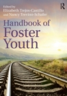 Handbook of Foster Youth - Book