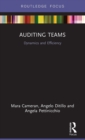 Auditing Teams : Dynamics and Efficiency - Book