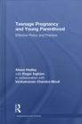 Teenage Pregnancy and Young Parenthood : Effective Policy and Practice - Book