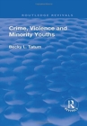 Crime, Violence and Minority Youths - Book