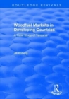 Woodfuel Markets in Developing Countries: A Case Study of Tanzania : A Case Study of Tanzania - Book