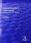 Cultural Diversity in Trade Unions : A Challenge to Class Identity? - Book