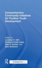 Comprehensive Community Initiatives for Positive Youth Development - Book