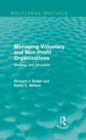 Managing Voluntary and Non-Profit Organizations : Strategy and Structure - Book