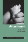 Attachment : Expanding the Cultural Connections - Book