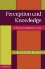 Perception and Knowledge : A Phenomenological Account - eBook