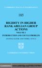 Rigidity in Higher Rank Abelian Group Actions: Volume 1, Introduction and Cocycle Problem - eBook