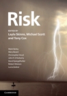Risk - eBook