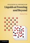 Statistical Physics of Liquids at Freezing and Beyond - eBook