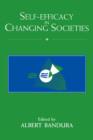 Self-Efficacy in Changing Societies - eBook