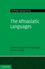 Afroasiatic Languages - eBook