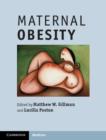Maternal Obesity - eBook