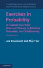 Exercises in Probability : A Guided Tour from Measure Theory to Random Processes, via Conditioning - eBook