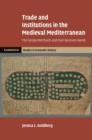 Trade and Institutions in the Medieval Mediterranean : The Geniza Merchants and their Business World - eBook