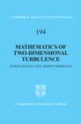 Mathematics of Two-Dimensional Turbulence - eBook