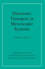 Electronic Transport in Mesoscopic Systems - eBook