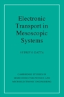 Electronic Transport in Mesoscopic Systems - eBook