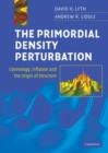 Primordial Density Perturbation : Cosmology, Inflation and the Origin of Structure - eBook