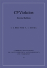 CP Violation - eBook