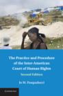 Practice and Procedure of the Inter-American Court of Human Rights - eBook