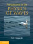 Introduction to the Physics of Waves - eBook