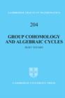 Group Cohomology and Algebraic Cycles - eBook