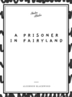 A Prisoner in Fairyland - eBook