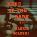Here in the Dark : A Novel - eAudiobook