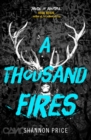 A Thousand Fires - Book