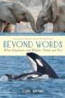 Beyond Words: What Elephants and Whales Think and Feel (A Young Reader's Adaptation) - Book