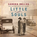 Little Souls : A Novel - eAudiobook