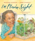 In Plain Sight - Book