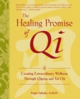 The Healing Promise of Qi (PB) - Book