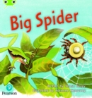 Bug Club Phonics - Phase 5 Unit 27: Big Spider - Book